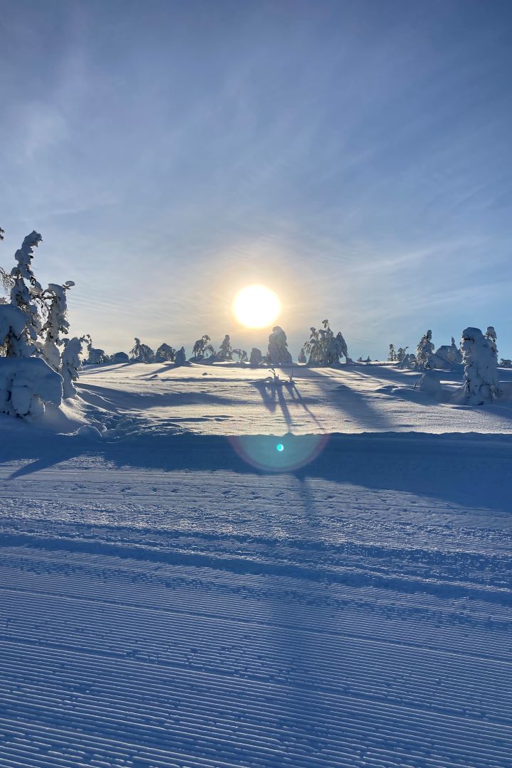 Skiforløb (Idræt B) - sol over sne